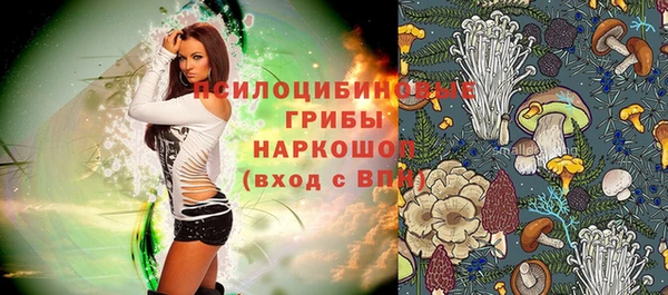 ПСИЛОЦИБИНОВЫЕ ГРИБЫ Алексин
