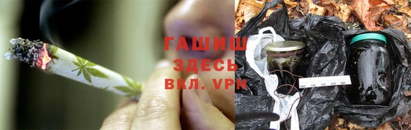 ПСИЛОЦИБИНОВЫЕ ГРИБЫ Алексин
