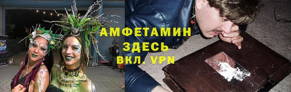 ПСИЛОЦИБИНОВЫЕ ГРИБЫ Алексин