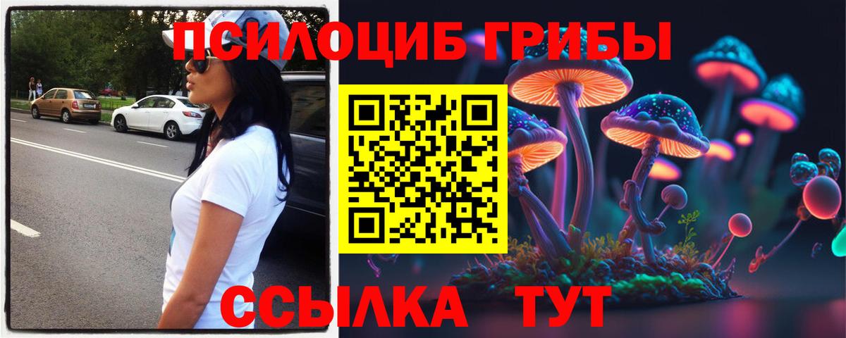 Псилоцибиновые грибы GOLDEN TEACHER Биробиджан